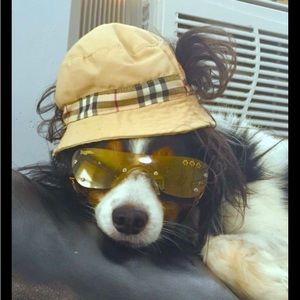 Meet your Posher, David